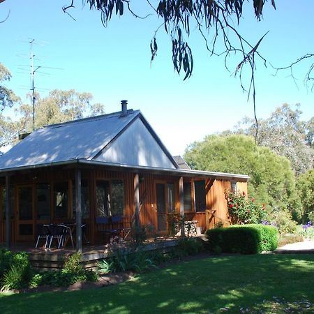 Bluegum Ridge Cottages Merrijig Rom bilde