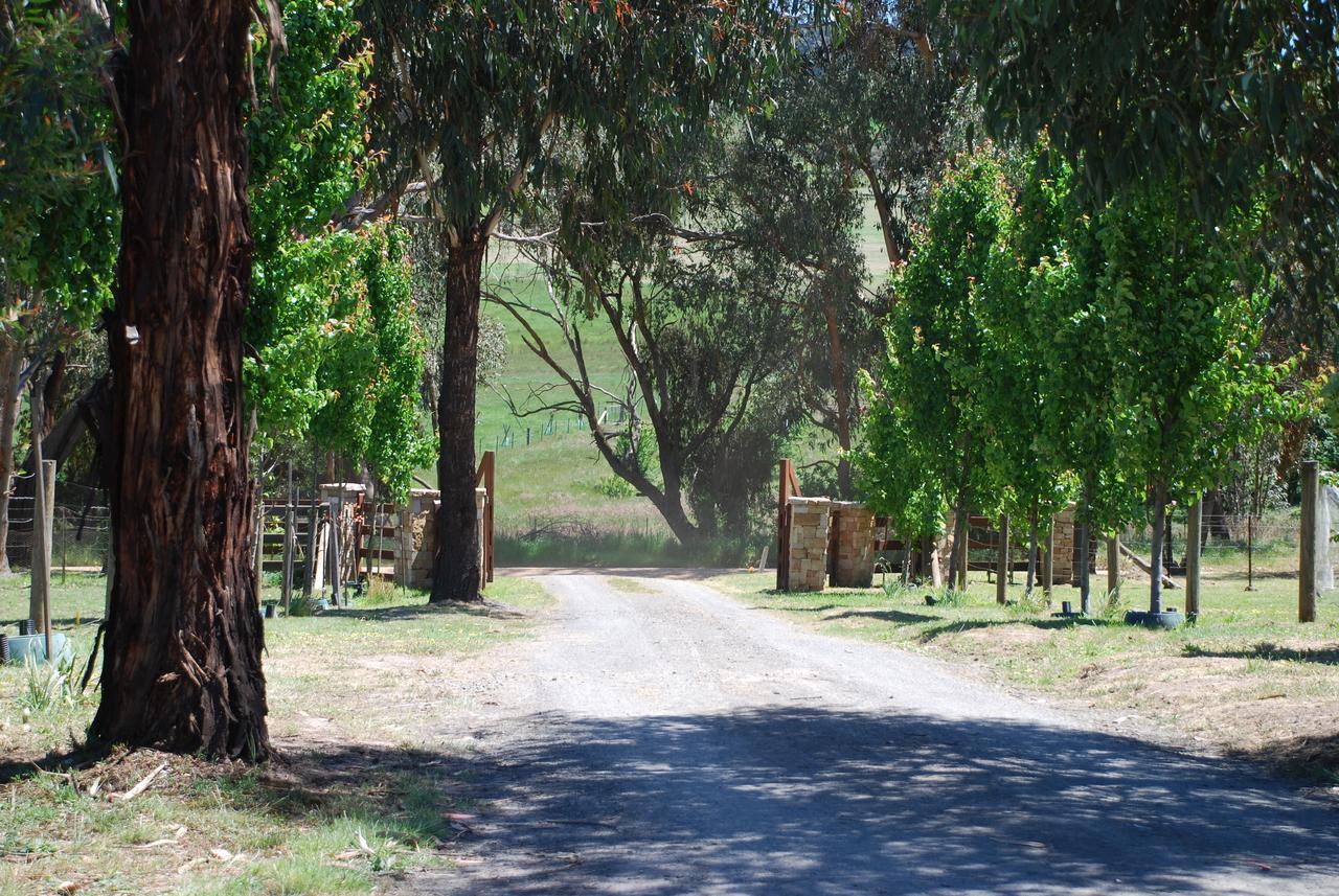 Bluegum Ridge Cottages Merrijig Eksteriør bilde