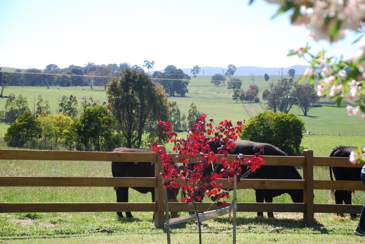 Bluegum Ridge Cottages Merrijig Eksteriør bilde