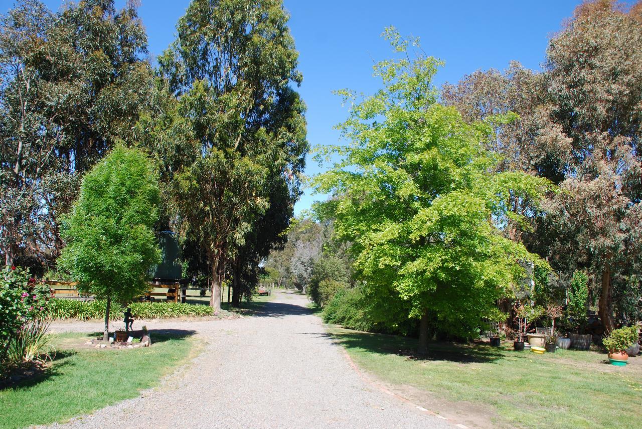 Bluegum Ridge Cottages Merrijig Eksteriør bilde