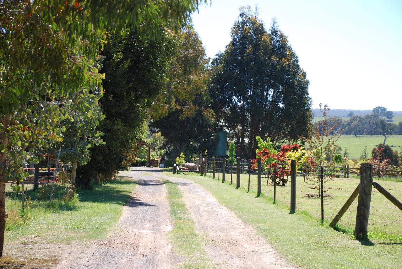 Bluegum Ridge Cottages Merrijig Eksteriør bilde