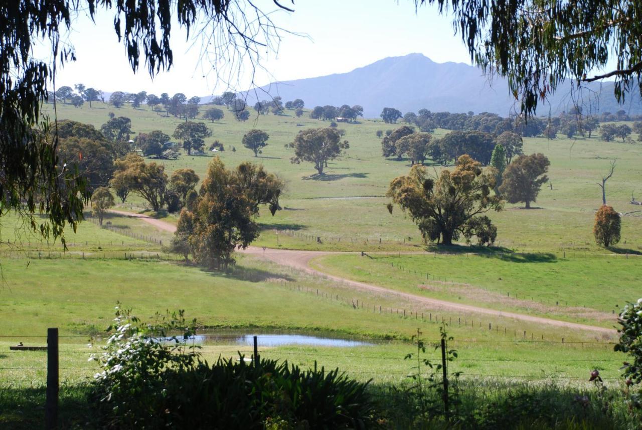 Bluegum Ridge Cottages Merrijig Rom bilde