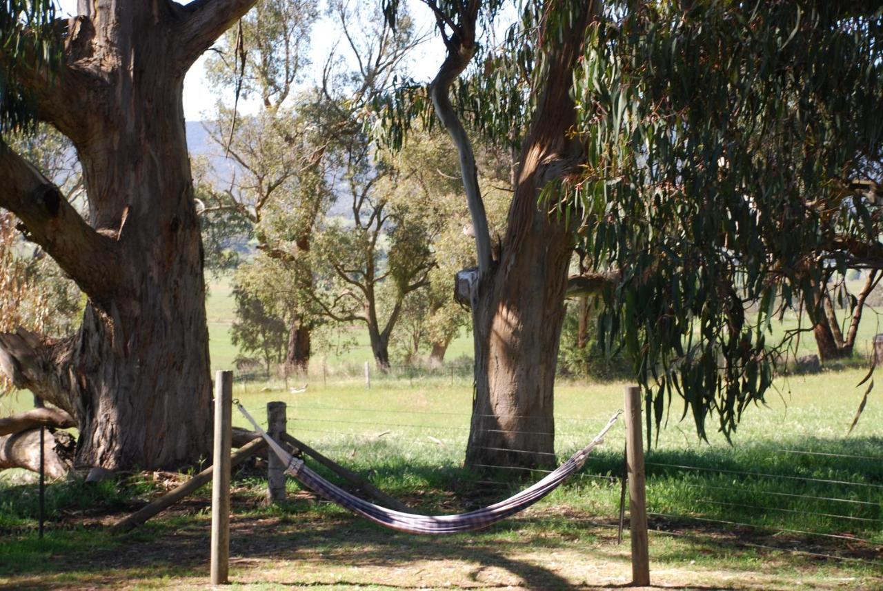 Bluegum Ridge Cottages Merrijig Rom bilde