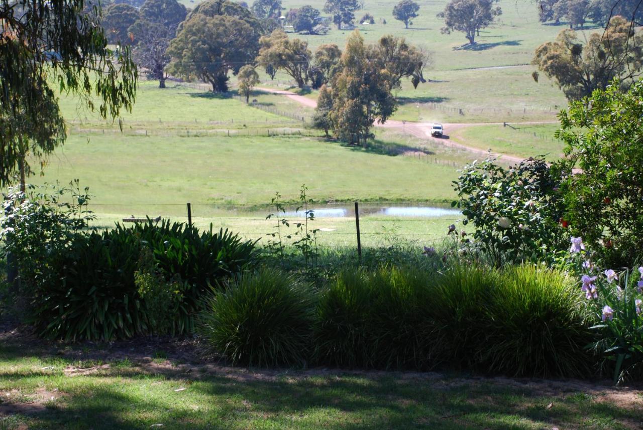 Bluegum Ridge Cottages Merrijig Rom bilde