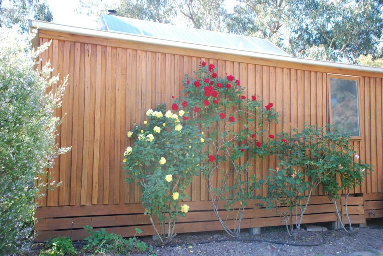 Bluegum Ridge Cottages Merrijig Rom bilde